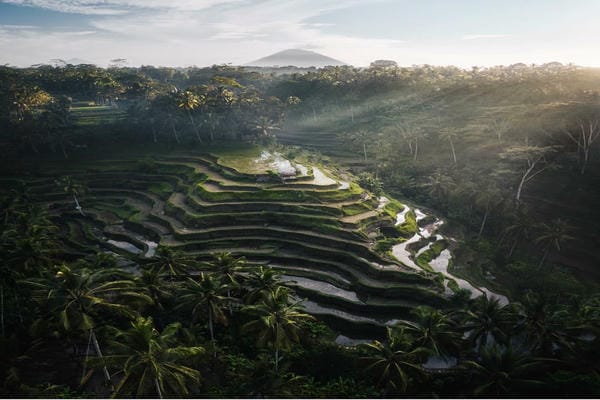 Bali