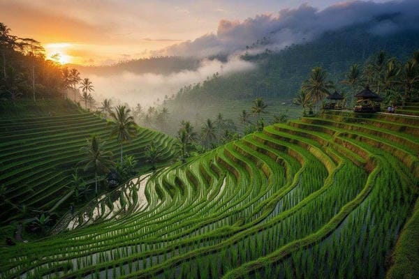 Bali